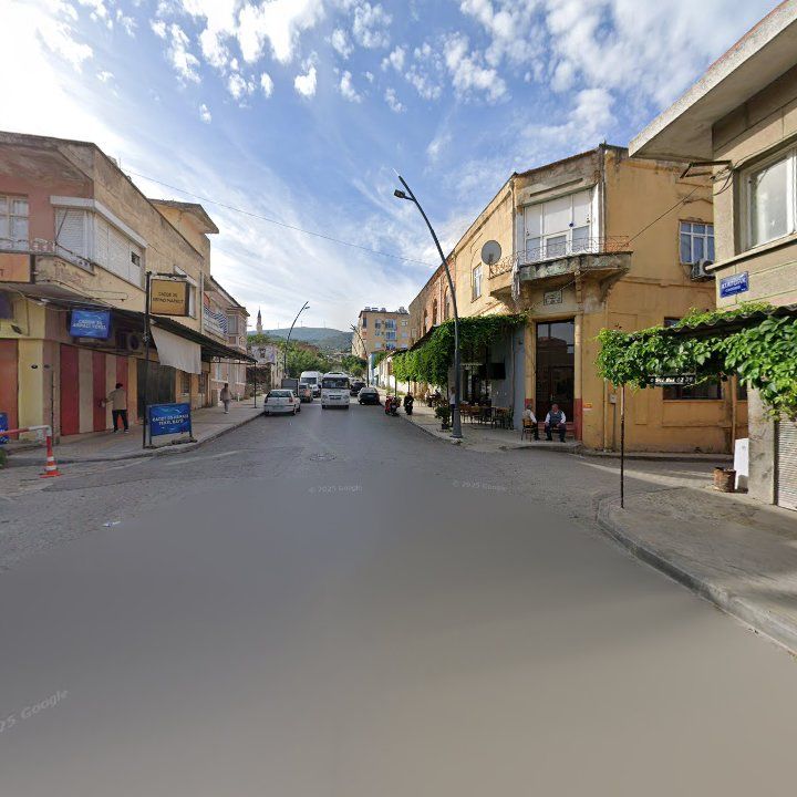 Fotoğraf 8