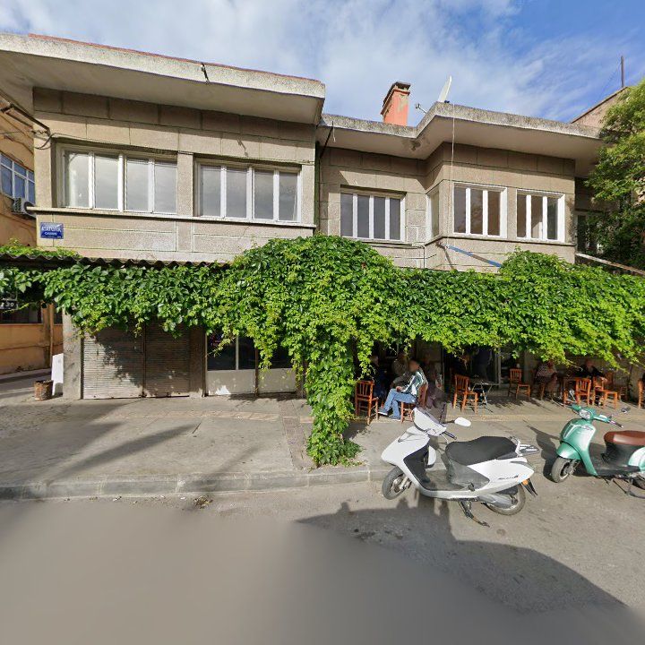 Fotoğraf 9