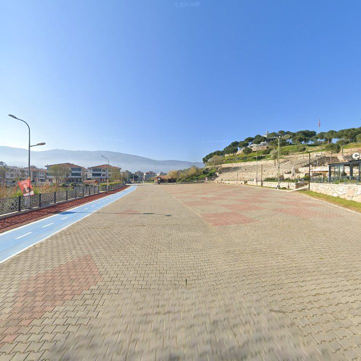 Fotoğraf 9