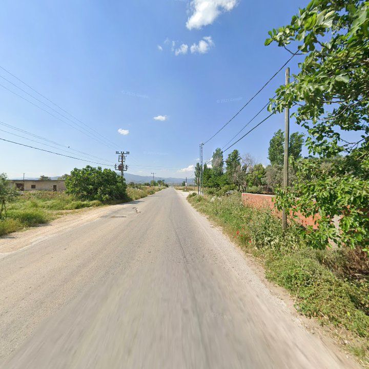 Fotoğraf 8