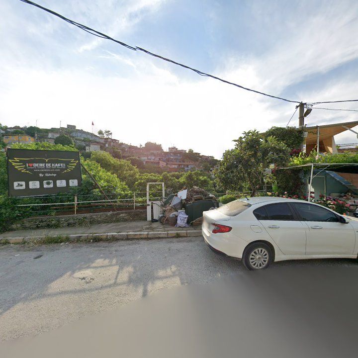 Fotoğraf 8