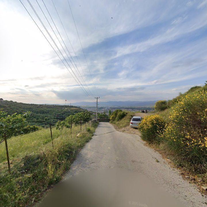 Fotoğraf 3