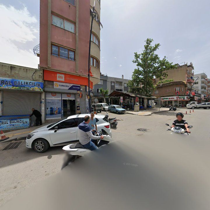 Fotoğraf 9