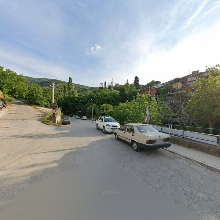 Fotoğraf 6