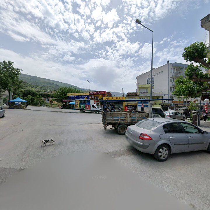 Fotoğraf 6