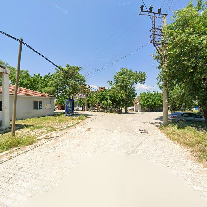Fotoğraf 6