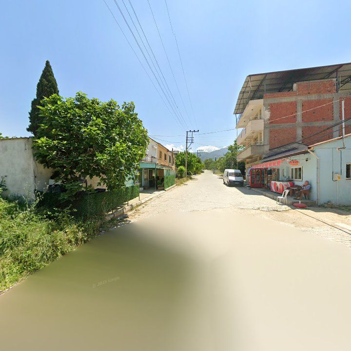 Fotoğraf 8