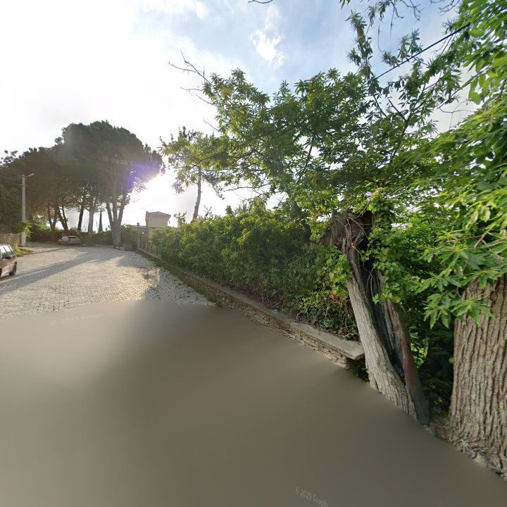 Fotoğraf 12