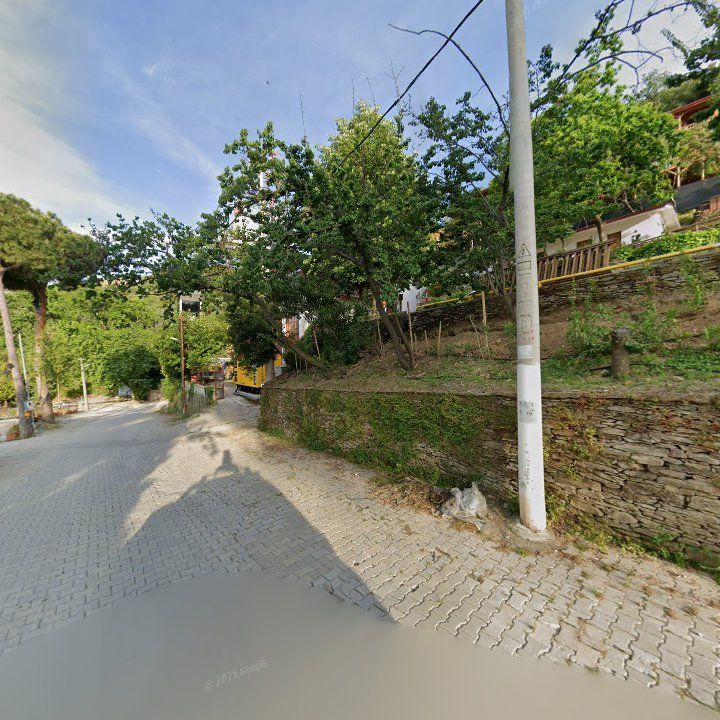 Fotoğraf 10