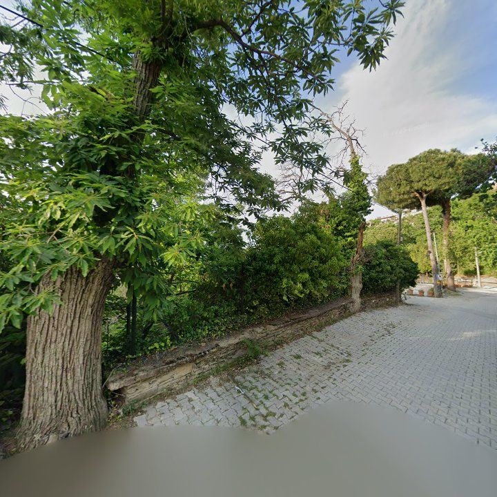 Fotoğraf 13