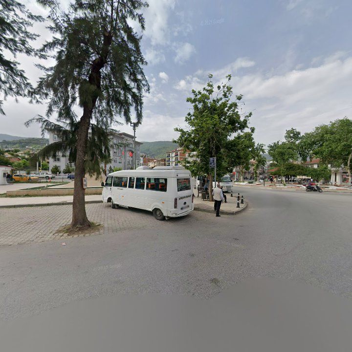 Fotoğraf 8
