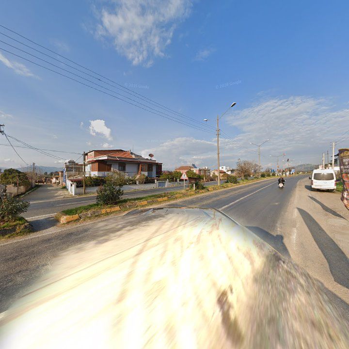 Fotoğraf 7