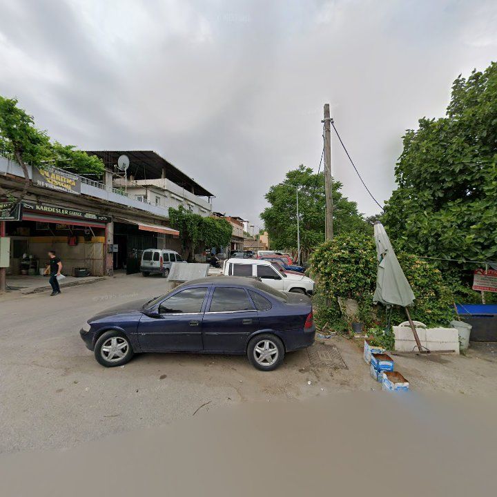 Fotoğraf 6