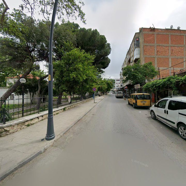 Fotoğraf 8