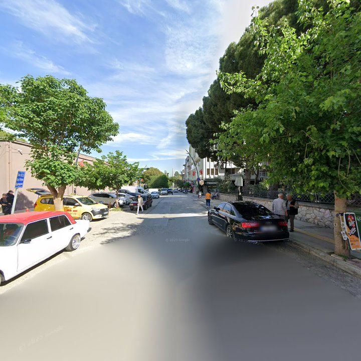 Fotoğraf 8