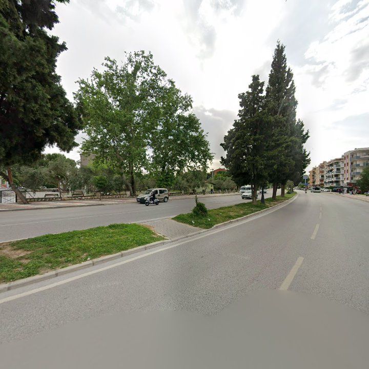 Fotoğraf 8