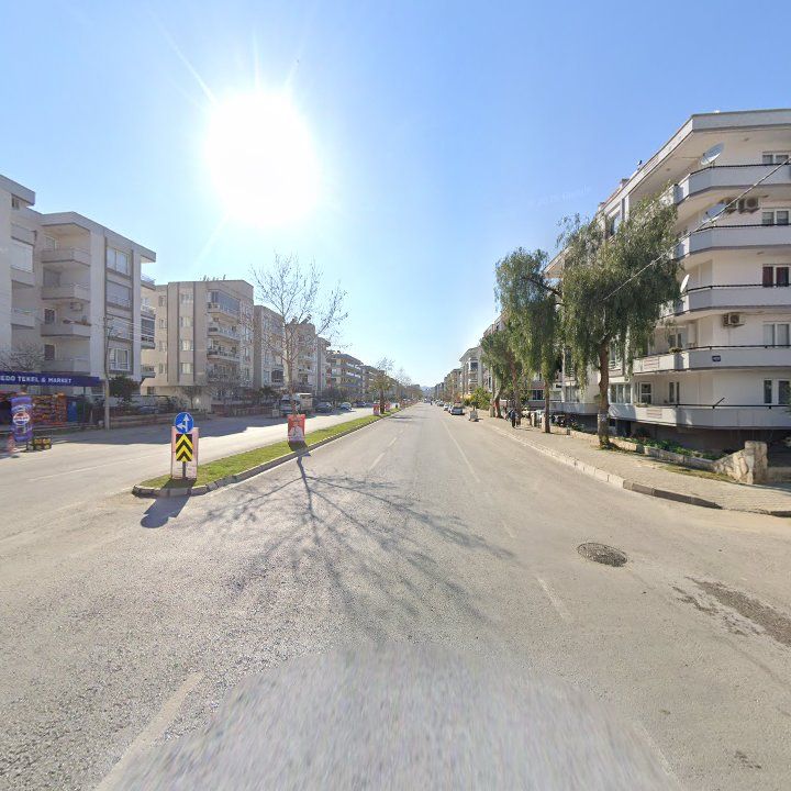 Fotoğraf 11