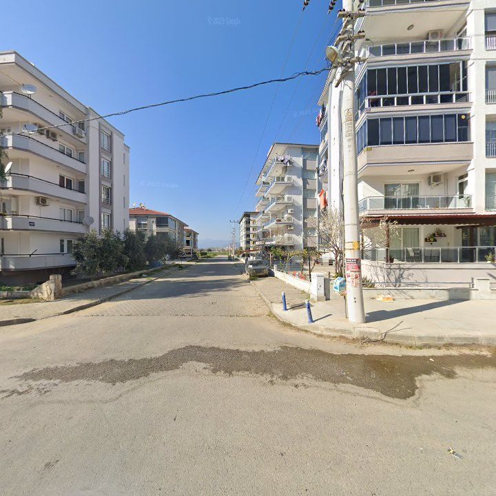 Fotoğraf 12