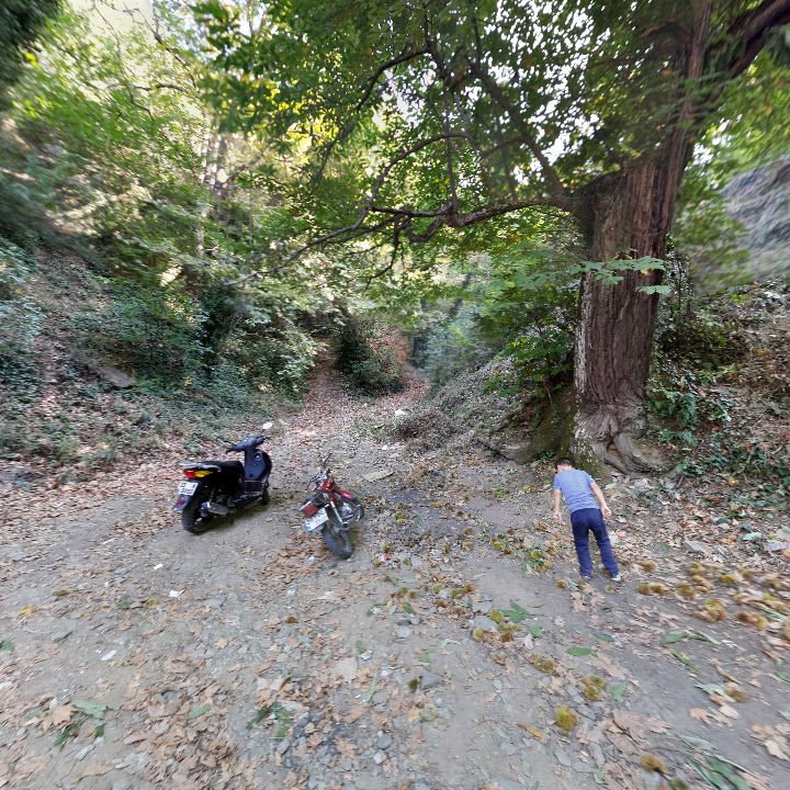 Fotoğraf 10