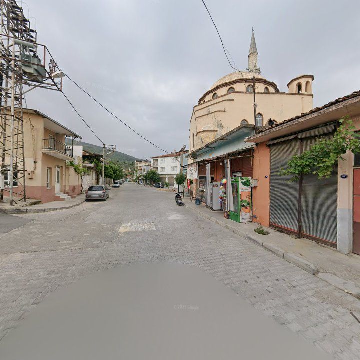 Fotoğraf 8