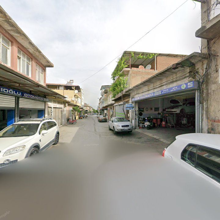 Fotoğraf 6