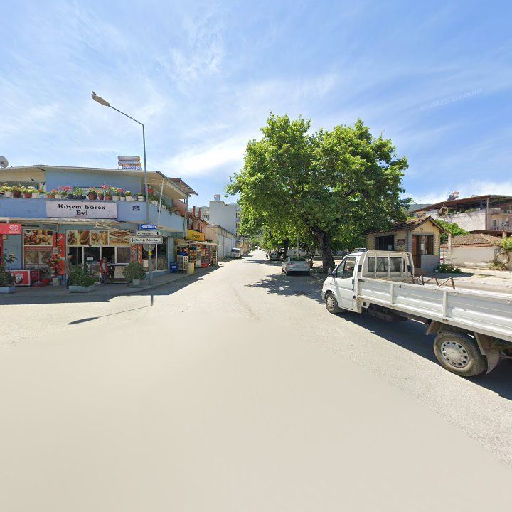 Fotoğraf 3