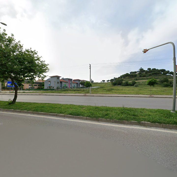 Fotoğraf 12