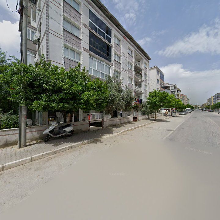 Fotoğraf 11
