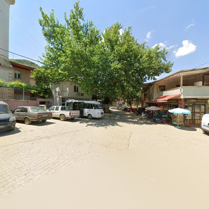 Fotoğraf 5
