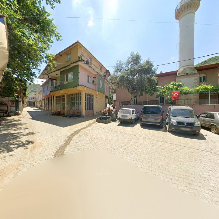 Fotoğraf 4