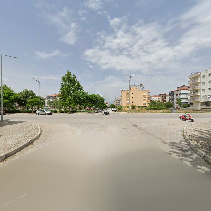Fotoğraf 11