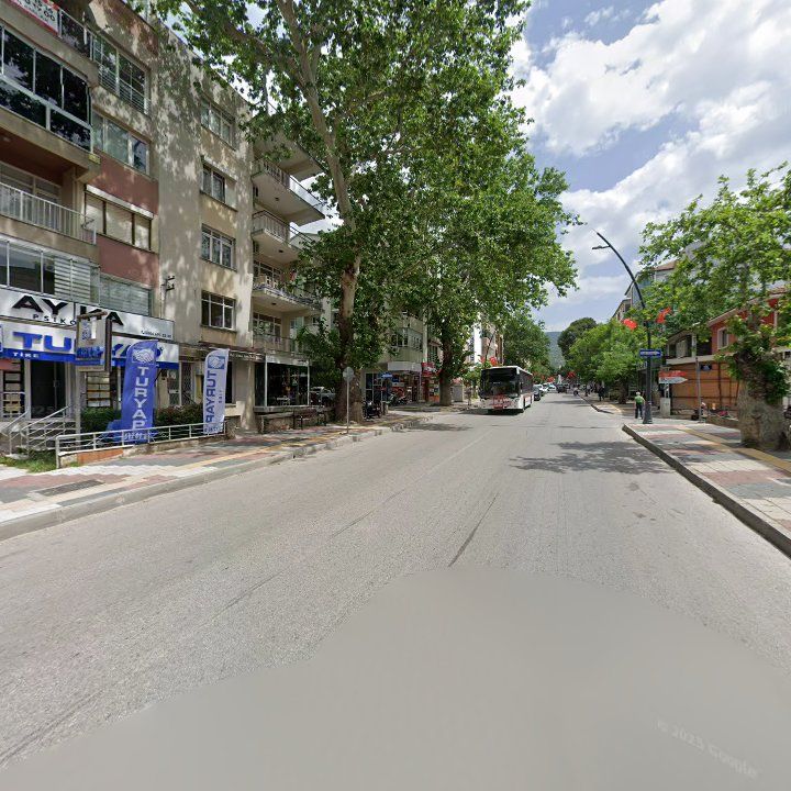 Fotoğraf 10