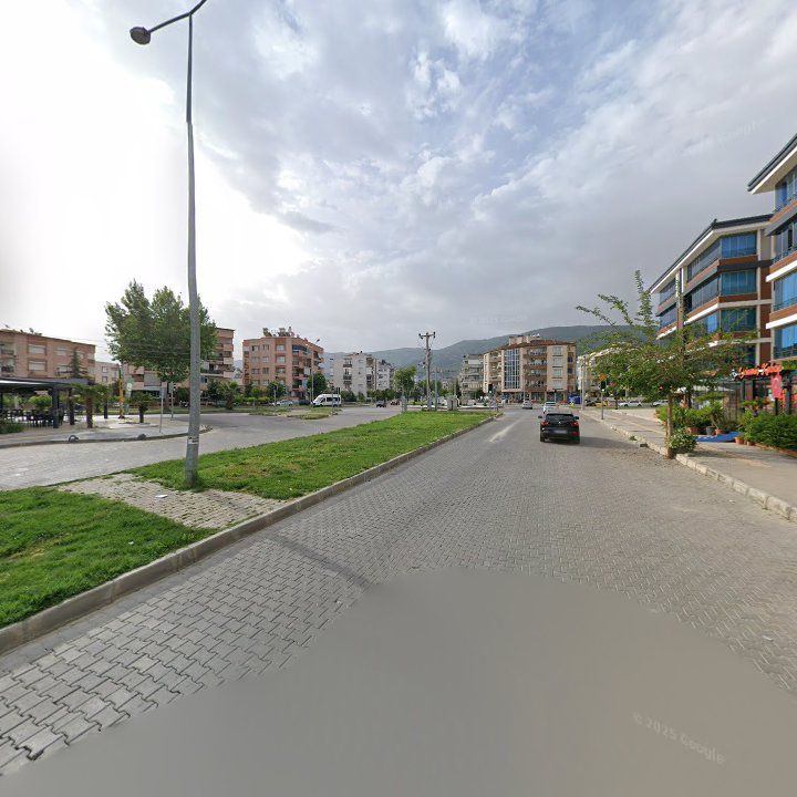 Fotoğraf 12