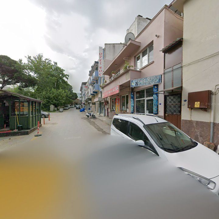 Fotoğraf 9