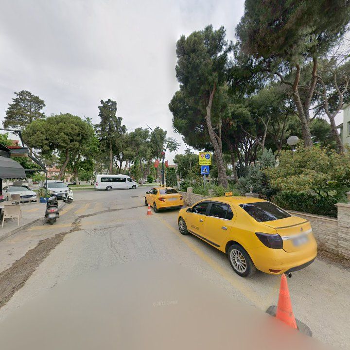 Fotoğraf 7