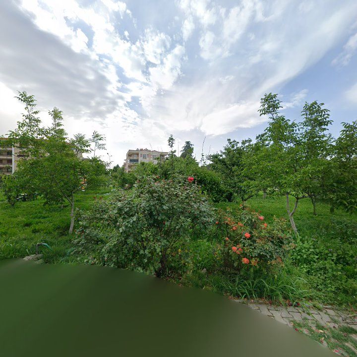 Fotoğraf 10