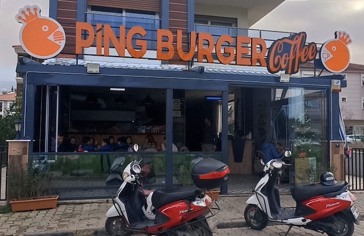 Ping burger coffe tire