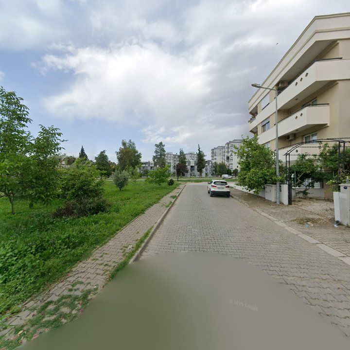 Fotoğraf 11