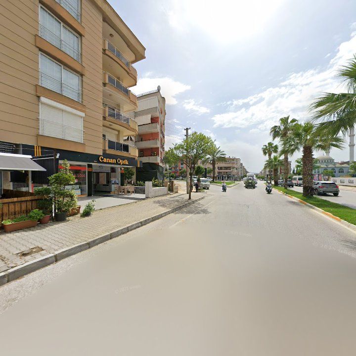 Fotoğraf 11