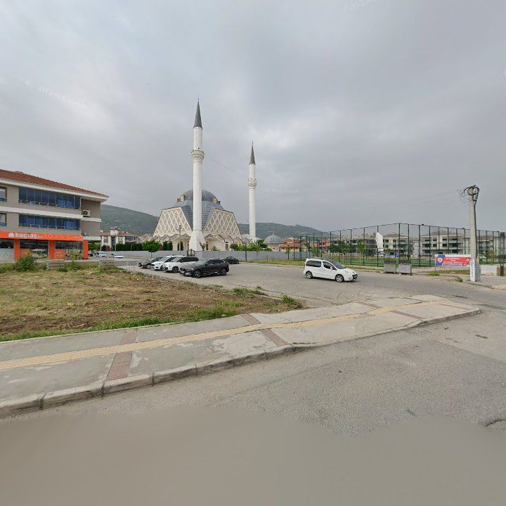 Fotoğraf 9