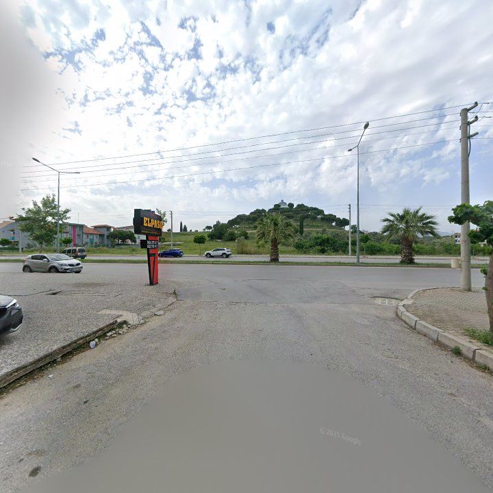 Fotoğraf 7