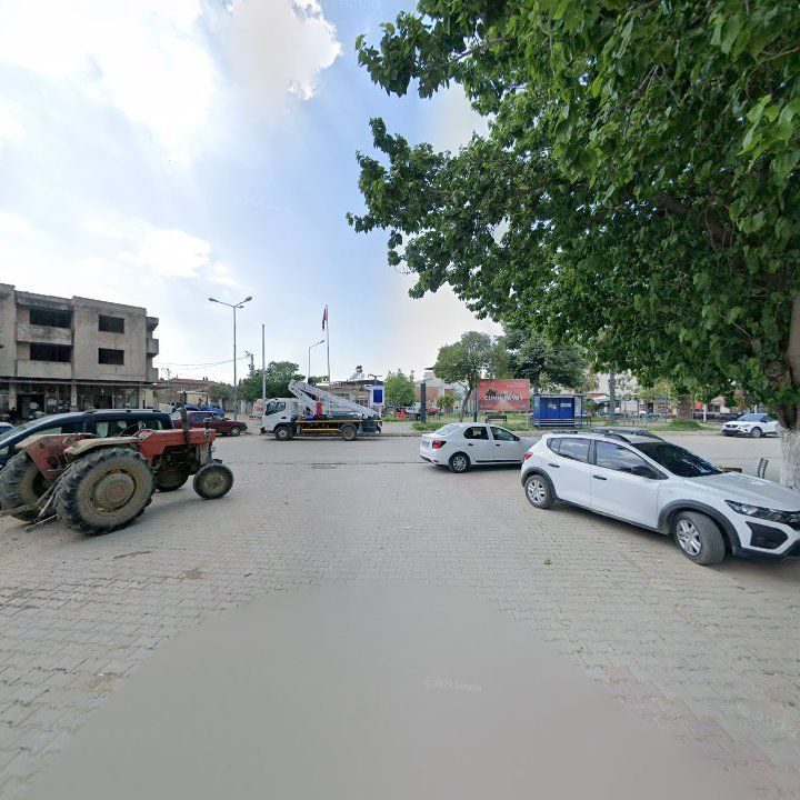 Fotoğraf 5