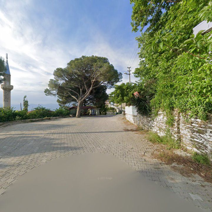 Fotoğraf 9