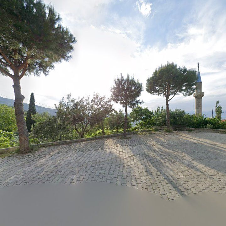 Fotoğraf 8