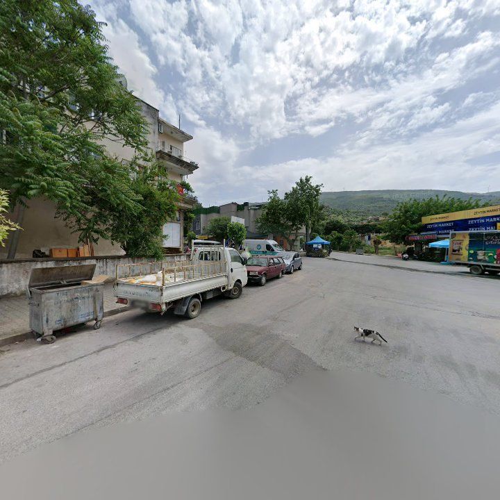 Fotoğraf 5