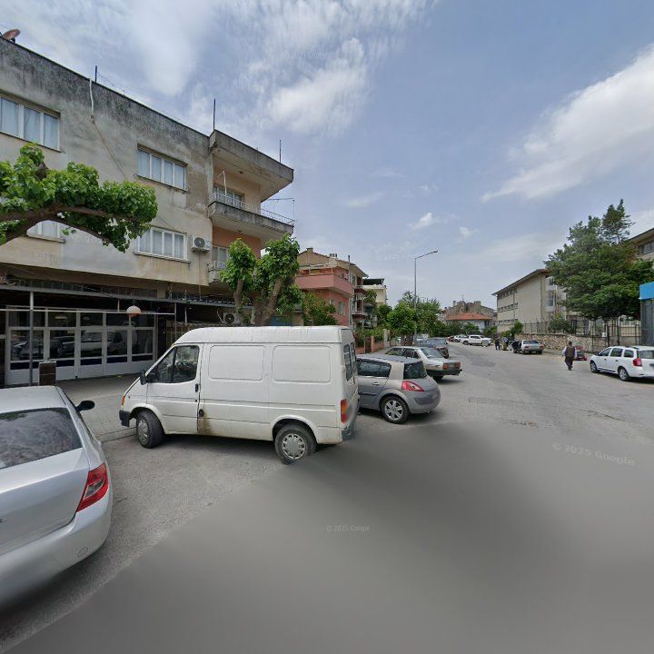 Fotoğraf 7
