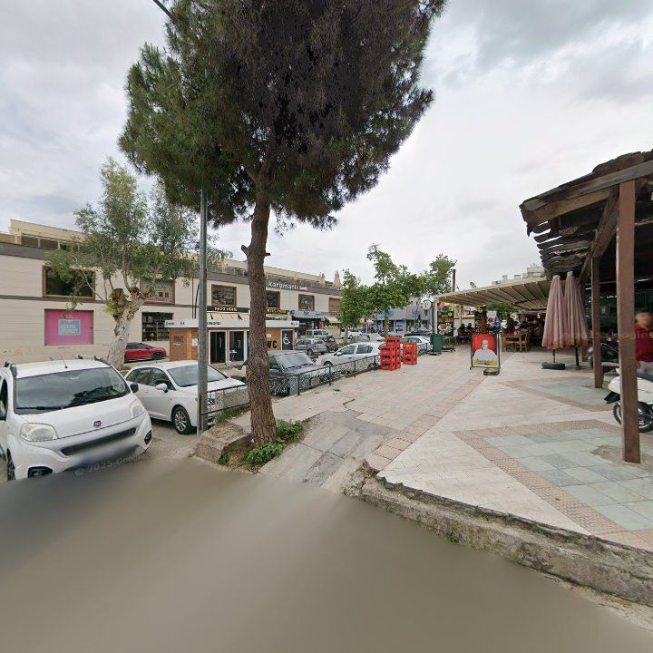 Fotoğraf 12