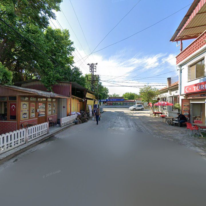 Fotoğraf 8