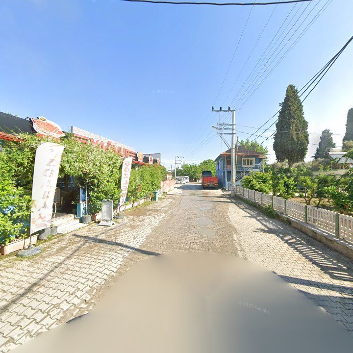 Fotoğraf 6