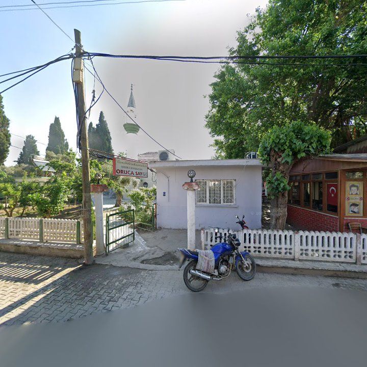Fotoğraf 7